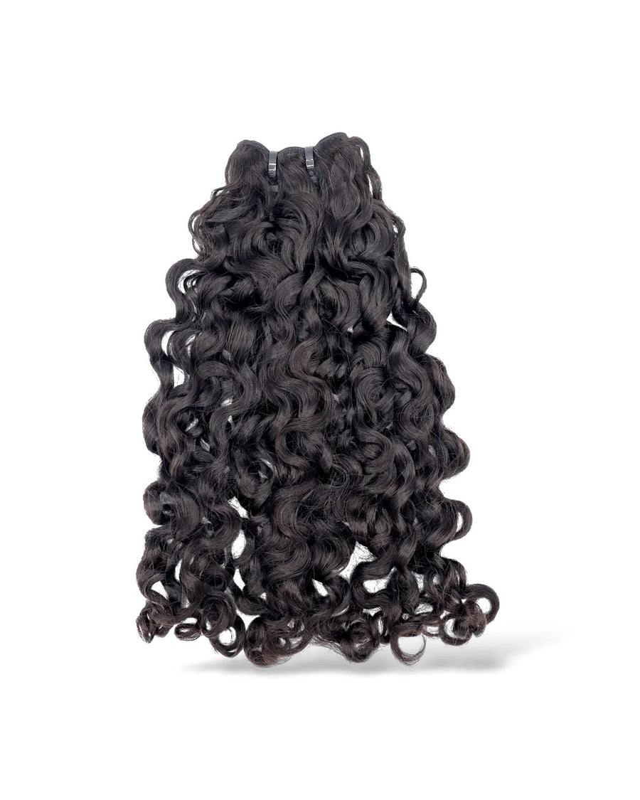 Burmese Curl