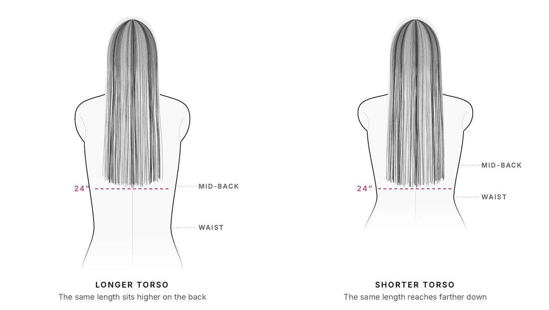 The same 24 inch length on a longer torso and a shorter torso