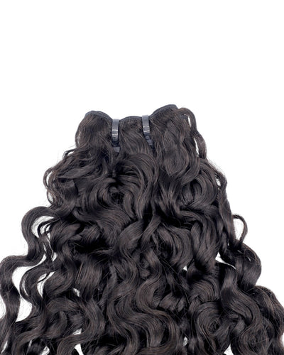 Burmese Curl